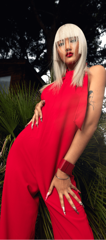 Collection A star is born PE 24