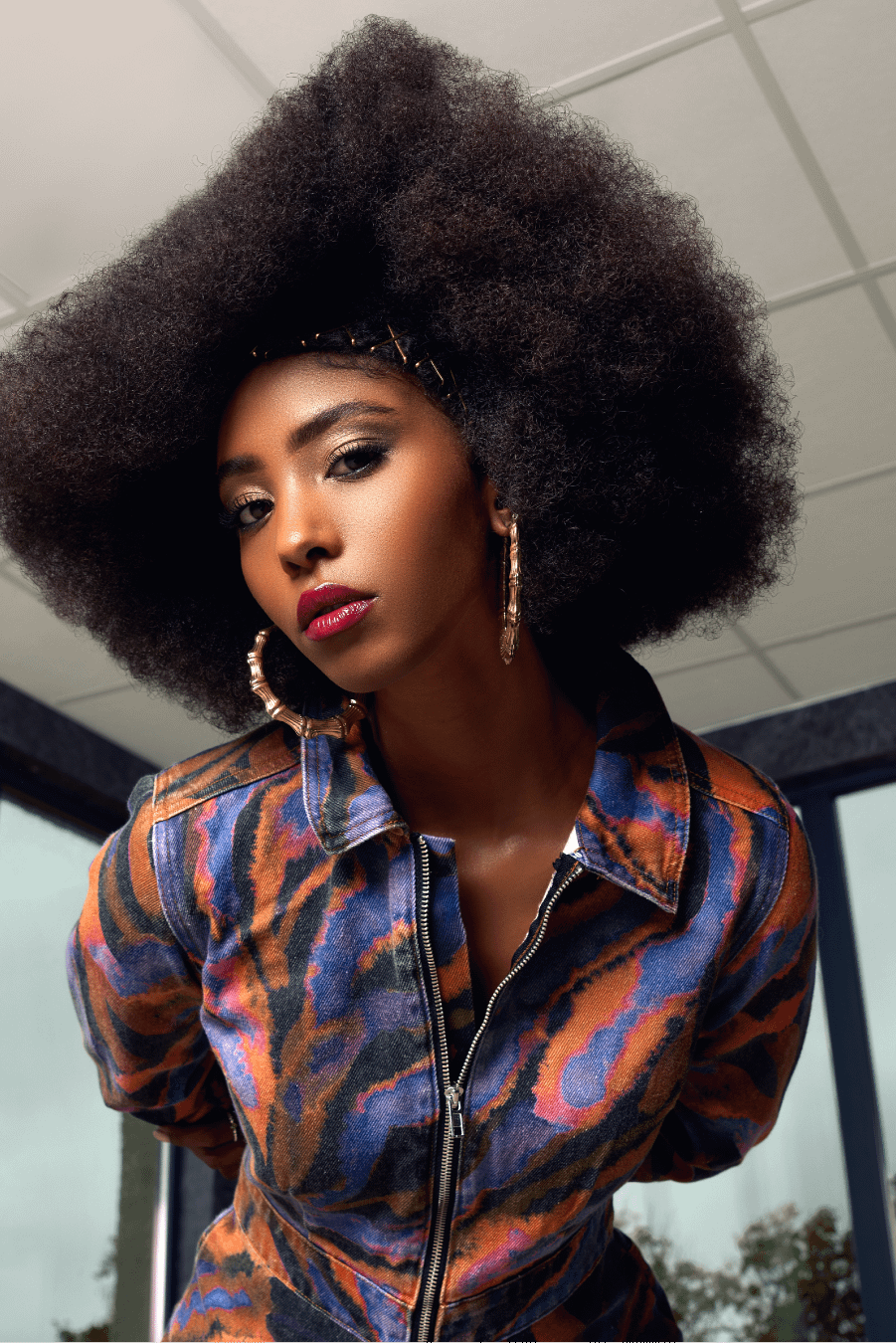 Collection A star is born PE 24