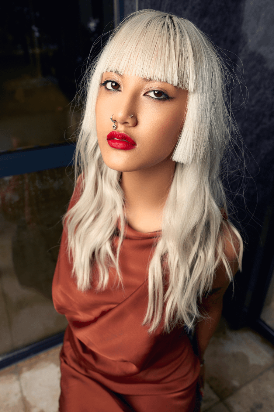 Collection A star is born PE 24