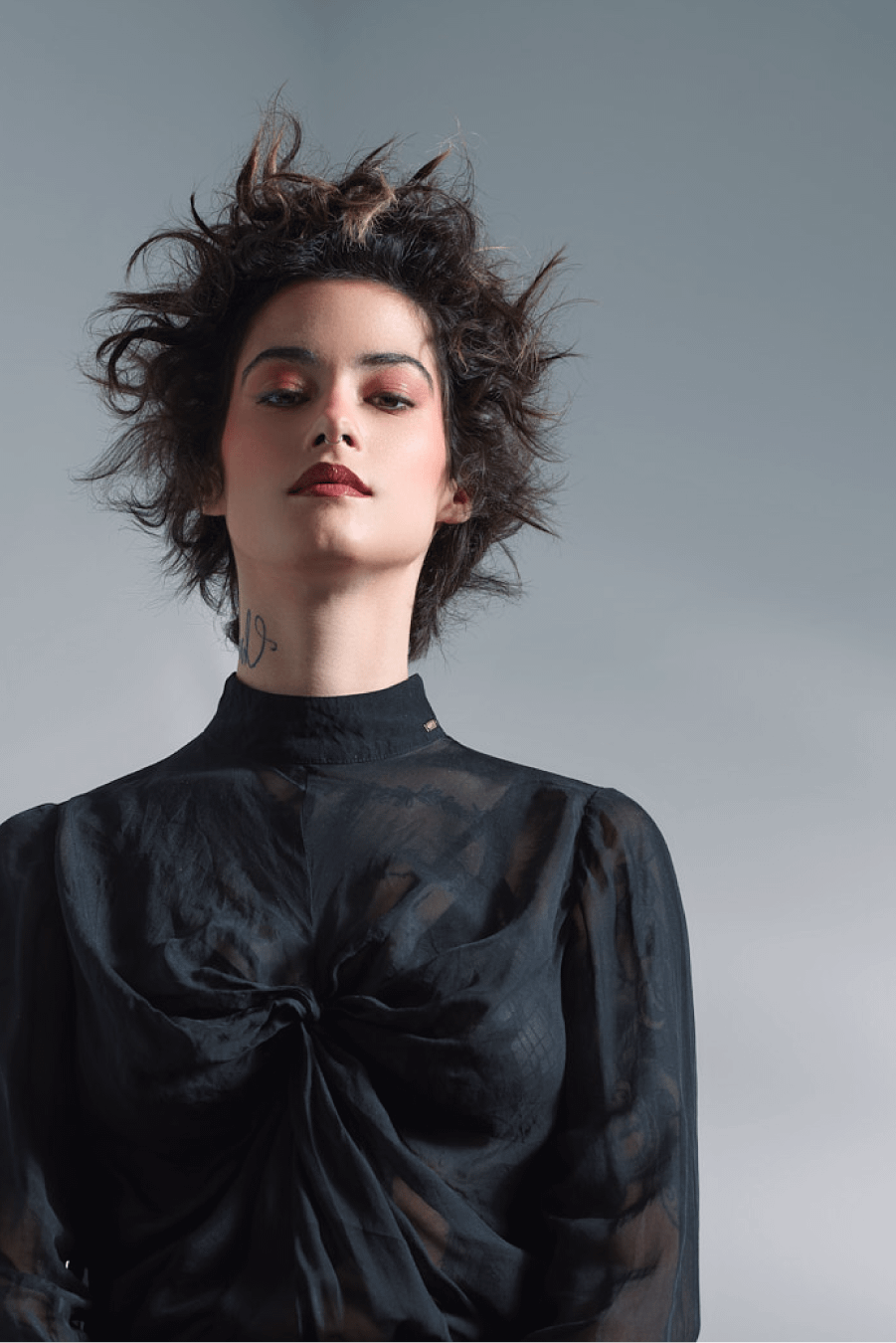 Collection Aesthetics PE 24